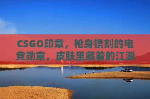 CSGO印章，枪身镌刻的电竞勋章，皮肤里藏着的江湖密码