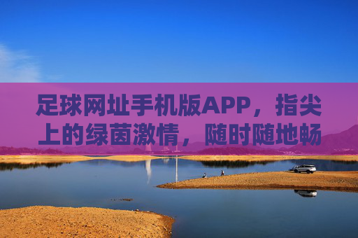 足球网址手机版APP，指尖上的绿茵激情，随时随地畅享足球盛宴，指尖绿茵，掌上足球盛宴