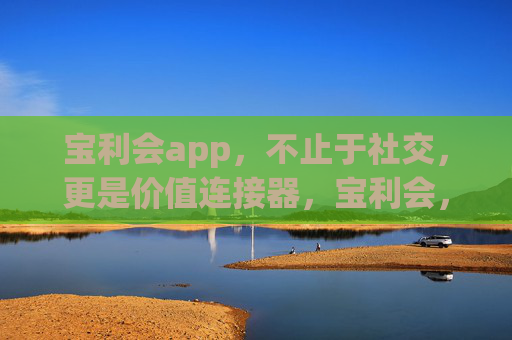 宝利会app，不止于社交，更是价值连接器，宝利会，社交之上，价值连接器