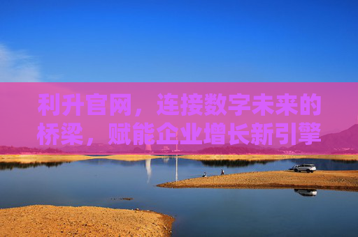 利升官网，连接数字未来的桥梁，赋能企业增长新引擎，利升官网，数字未来的桥梁与企业增长的新引擎