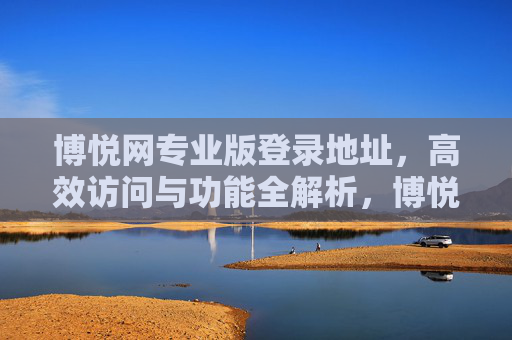 博悦网专业版登录地址，高效访问与功能全解析，博悦网专业版登录地址，高效访问与功能全解析