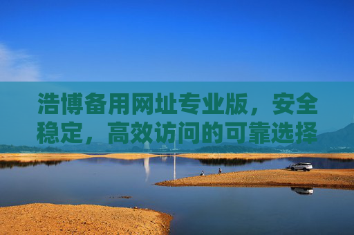 浩博备用网址专业版，安全稳定，高效访问的可靠选择，浩博备用网址专业版，安全稳定高效访问的可靠选择