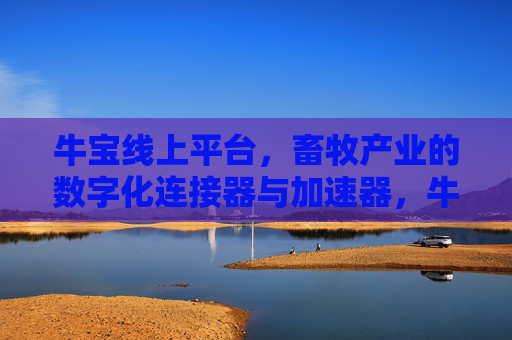 牛宝线上平台，畜牧产业的数字化连接器与加速器，牛宝线上平台，畜牧产业的数字化连接器与加速器
