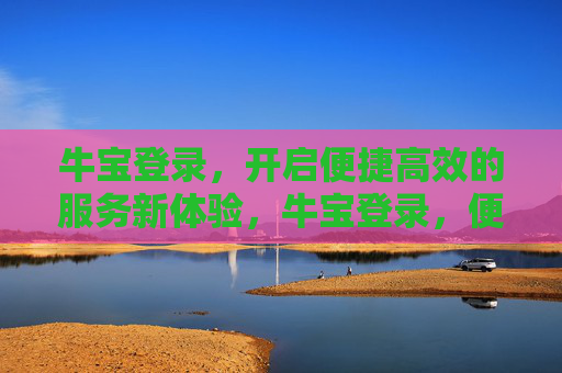 牛宝登录，开启便捷高效的服务新体验，牛宝登录，便捷高效服务新体验