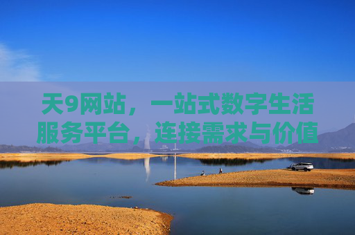 天9网站，一站式数字生活服务平台，连接需求与价值，天9网站，一站式数字生活服务平台，连接需求与价值