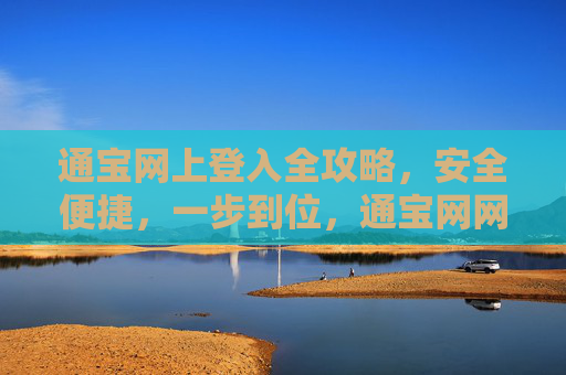 通宝网上登入全攻略，安全便捷，一步到位，通宝网网上登入全攻略，安全便捷一步到位