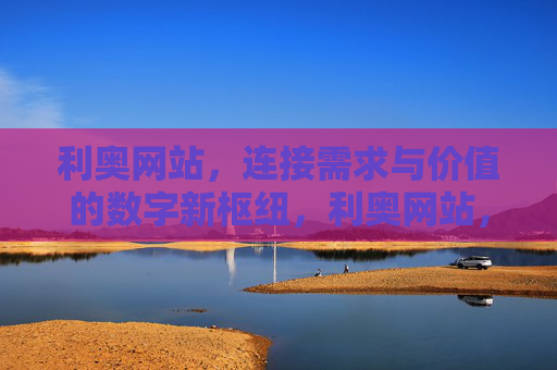 利奥网站，连接需求与价值的数字新枢纽，利奥网站，连接需求与价值的数字新枢纽