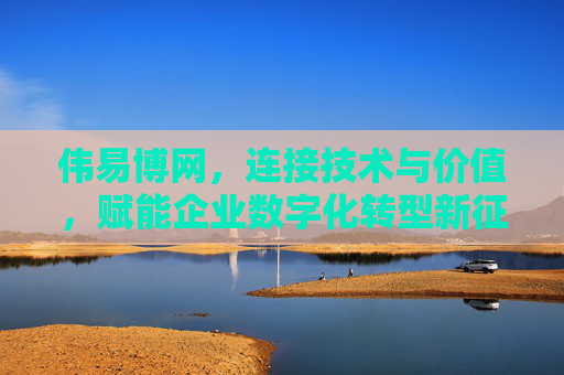 伟易博网，连接技术与价值，赋能企业数字化转型新征程，伟易博网，连接技术与价值，赋能企业数字化转型新征程