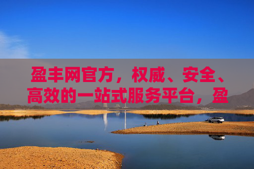 盈丰网官方，权威、安全、高效的一站式服务平台，盈丰网官方，权威安全高效的一站式服务平台