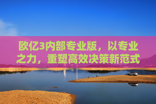 欧亿3内部专业版，以专业之力，重塑高效决策新范式，欧亿3内部专业版，重塑高效决策新范式