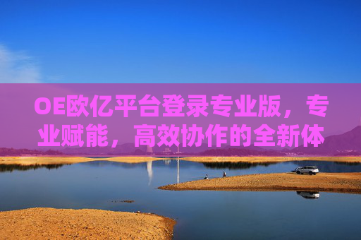 OE欧亿平台登录专业版，专业赋能，高效协作的全新体验，OE欧亿平台专业版，专业赋能，高效协作全新体验