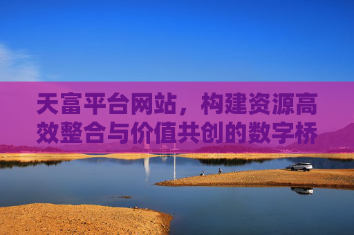 天富平台网站，构建资源高效整合与价值共创的数字桥梁，天富平台，资源整合与价值共创的数字桥梁
