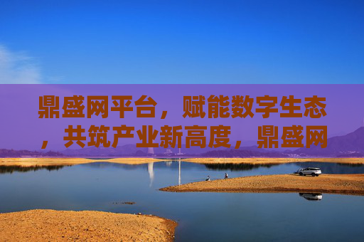 鼎盛网平台，赋能数字生态，共筑产业新高度，鼎盛网平台，赋能数字生态共筑产业新高度