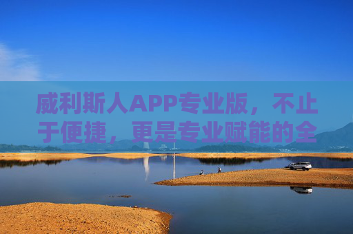 威利斯人APP专业版，不止于便捷，更是专业赋能的全新体验，威利斯人APP专业版，便捷之上，专业赋能新体验