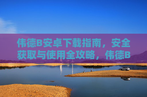 伟德B安卓下载指南，安全获取与使用全攻略，伟德B安卓安全下载与使用全攻略