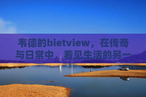 韦德的bietview，在传奇与日常中，看见生活的另一种可能，韦德，在传奇与日常中，看见生活的可能