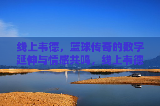线上韦德，篮球传奇的数字延伸与情感共鸣，线上韦德，篮球传奇的数字延伸与情感共鸣