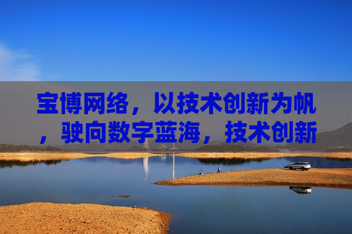 宝博网络，以技术创新为帆，驶向数字蓝海，技术创新为帆，宝博网络驶向数字蓝海