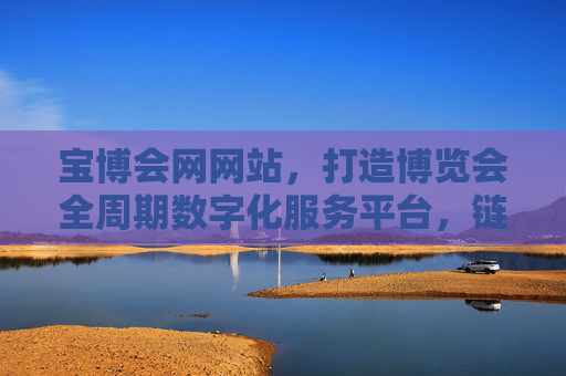 宝博会网网站，打造博览会全周期数字化服务平台，链接产业新机遇，宝博会网全周期数字化服务平台，链接产业新机遇