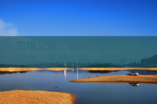 万博公棚，赛鸽飞翔的梦想舞台，万博公棚，赛鸽飞翔的梦想舞台