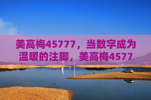 美高梅45777，当数字成为温暖的注脚，美高梅45777，数字的温暖注脚