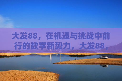 大发88，在机遇与挑战中前行的数字新势力，大发88，机遇与挑战中前行的数字新势力