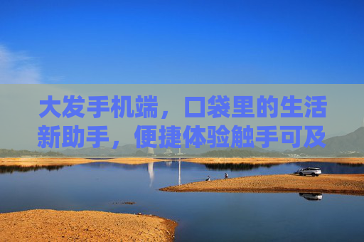 大发手机端，口袋里的生活新助手，便捷体验触手可及，大发手机端，口袋里的生活新助手