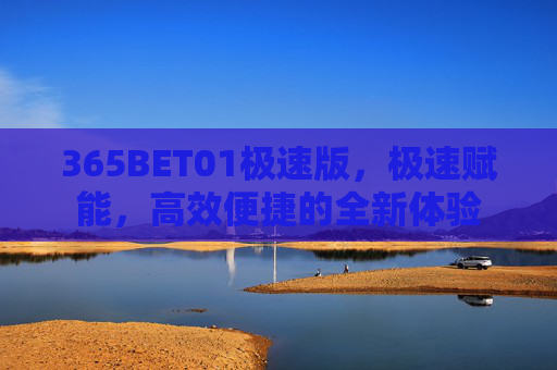 365BET01极速版，极速赋能，高效便捷的全新体验