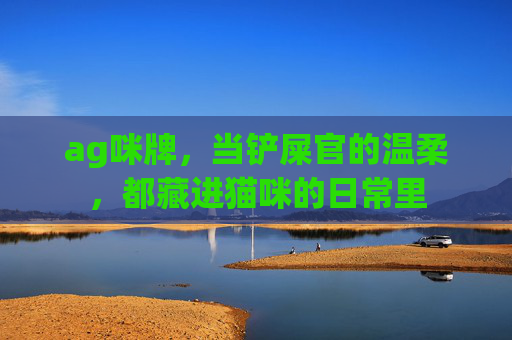 ag咪牌，当铲屎官的温柔，都藏进猫咪的日常里