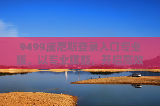 9499威尼斯登录入口专业版，以专业赋能，开启高效服务新纪元，9499威尼斯登录入口专业版，专业赋能高效服务新纪元