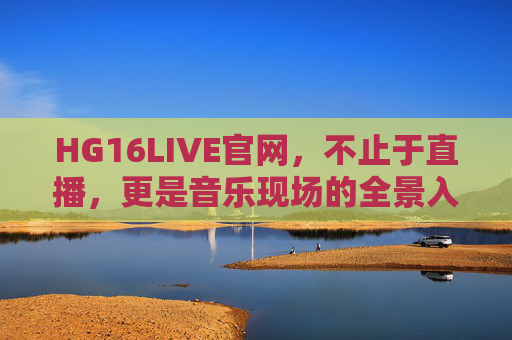 HG16LIVE官网，不止于直播，更是音乐现场的全景入口，HG16LIVE官网，音乐现场的全景入口