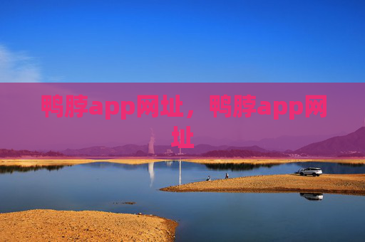 鸭脖app网址，鸭脖app网址
