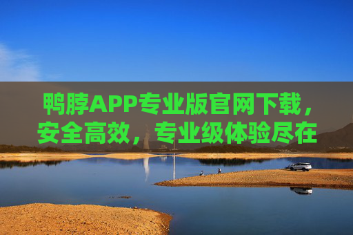 鸭脖APP专业版官网下载，安全高效，专业级体验尽在掌握，鸭脖APP专业版官网下载，安全高效，专业级体验尽在掌握