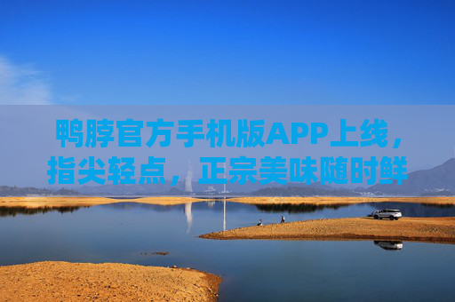 鸭脖官方手机版APP上线，指尖轻点，正宗美味随时鲜达，鸭脖官方APP上线，指尖轻点正宗美味随时鲜达