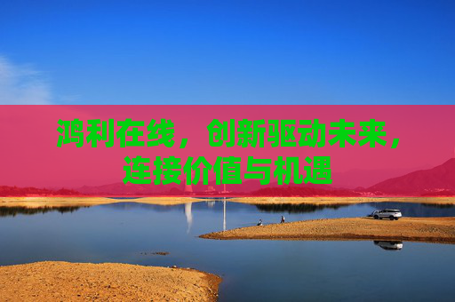鸿利在线，创新驱动未来，连接价值与机遇