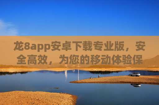 龙8app安卓下载专业版，安全高效，为您的移动体验保驾护航，龙8app安卓专业版，安全高效护航移动体验