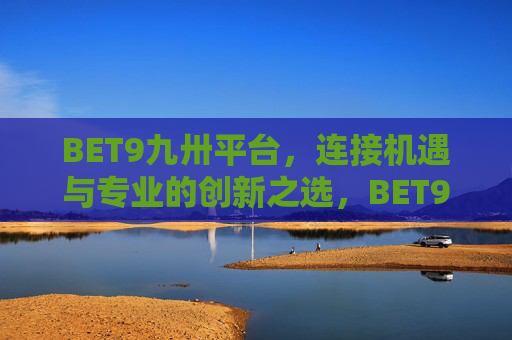 BET9九卅平台，连接机遇与专业的创新之选，BET9九卅平台，连接机遇与专业的创新之选