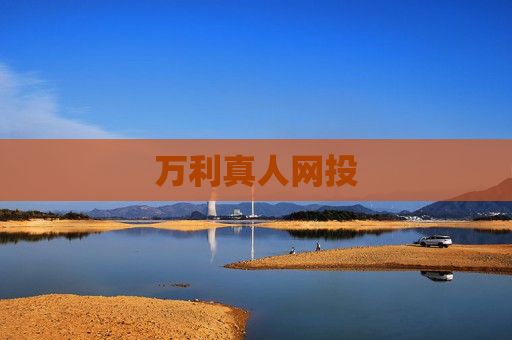 万利真人网投