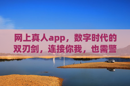 网上真人app，数字时代的双刃剑，连接你我，也需警惕风险，数字时代网上真人app，连接与风险的双刃剑