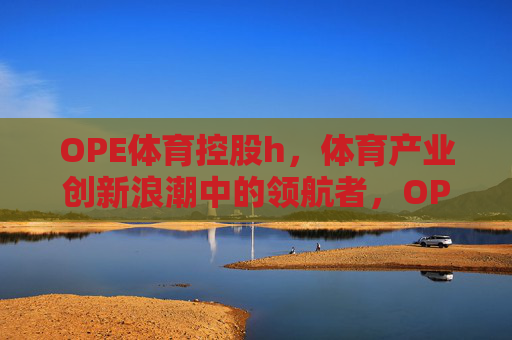 OPE体育控股h，体育产业创新浪潮中的领航者，OPE体育控股，体育产业创新浪潮的领航者