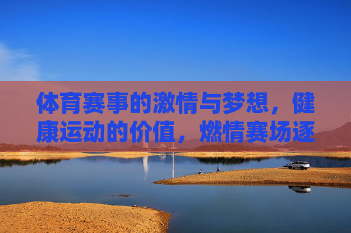 体育赛事的激情与梦想，健康运动的价值，燃情赛场逐梦，健康运动筑未来