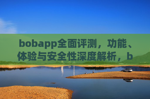 bobapp全面评测，功能、体验与安全性深度解析，bobapp全面评测，功能、体验与安全性深度解析