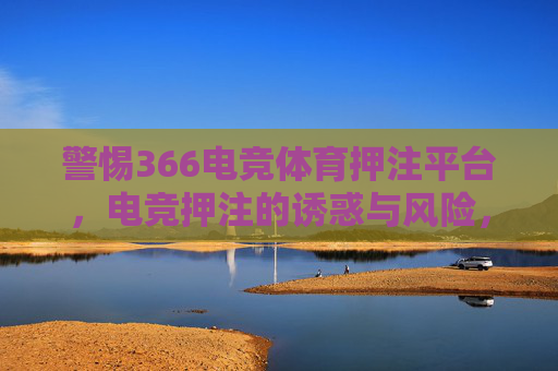 警惕366电竞体育押注平台，电竞押注的诱惑与风险，警惕366电竞体育押注平台，电竞押注的诱惑与风险
