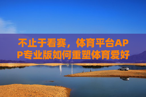 不止于看赛，体育平台APP专业版如何重塑体育爱好者体验，体育平台APP专业版，不止于看赛，重塑体育爱好者体验