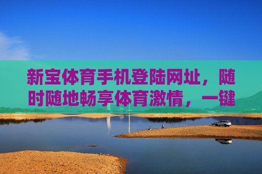 新宝体育手机登陆网址，随时随地畅享体育激情，一键开启便捷观赛新体验，新宝体育手机登陆，便捷观赛新体验，随时随地畅享体育激情