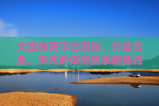 大嬴体育平台网站，打造专业、多元的体育赛事新体验，大嬴体育平台，专业多元赛事新体验