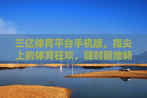 三亿体育平台手机版，指尖上的体育狂欢，随时随地畅享运动激情，指尖狂欢，随时随地畅享体育激情