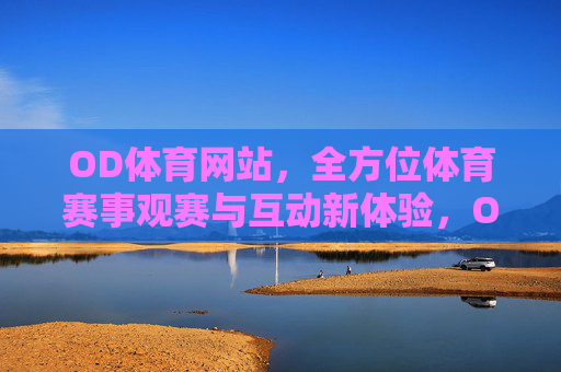 OD体育网站，全方位体育赛事观赛与互动新体验，OD体育，全方位赛事观赛互动新体验