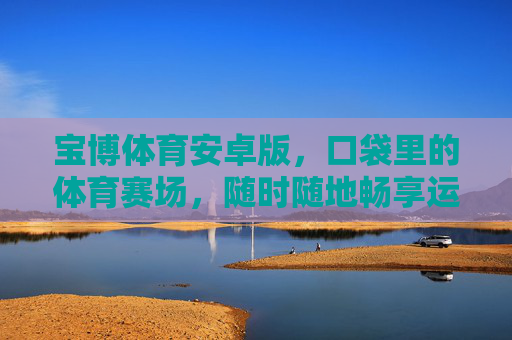 宝博体育安卓版，口袋里的体育赛场，随时随地畅享运动激情，宝博体育安卓版，口袋赛场，激情随行