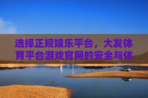 选择正规娱乐平台，大发体育平台游戏官网的安全与体验指南，大发体育平台游戏官网，安全与体验指南